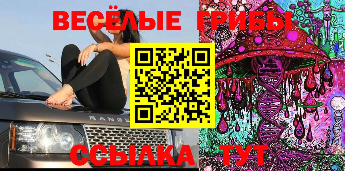 магазин    Псилоцибиновые грибы мицелий  Вход с VPN  Урус-Мартан 