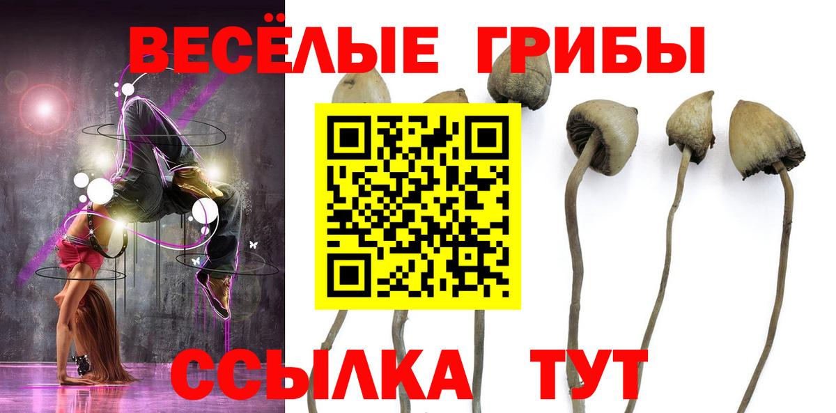 Псилоцибиновые грибы мухоморы Урус-Мартан