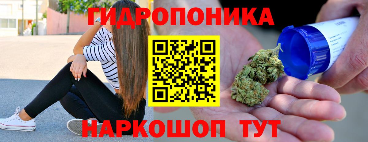 Каннабис планчик Урус-Мартан